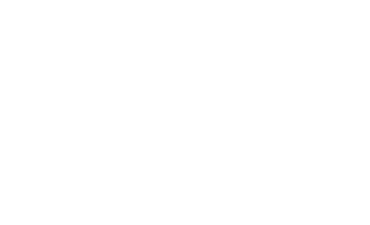 ACS Inc.